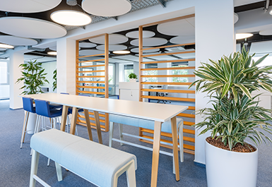 Büro mit Tischen, Bänken, Holz-Lamellen und Schall-Absorbern