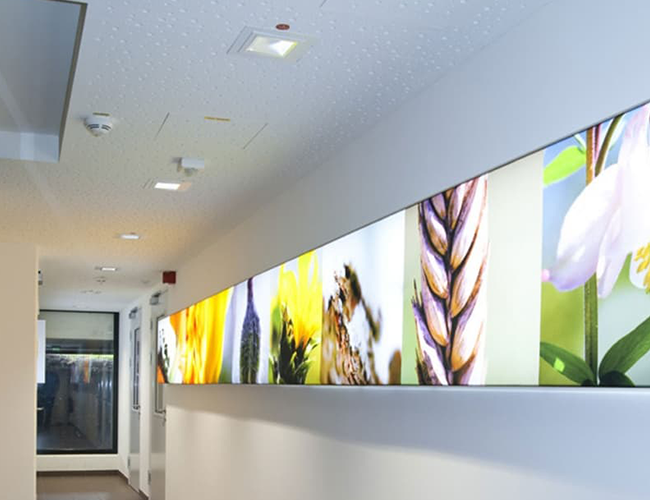 Flur mit Gipskartondecken und beleuchtetem Wandbild