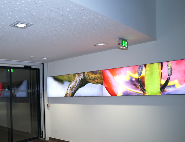 Gipskarton-Decke mit Akustikausführung