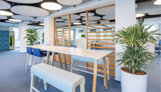 Offenes Büro-Raumkonzept dank Innenausbau